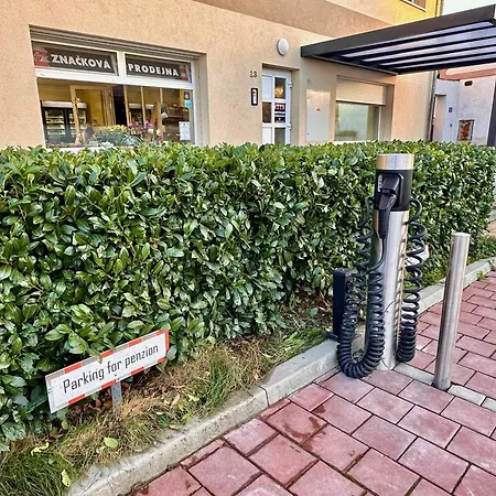 Piller 게스트하우스 Chvalín